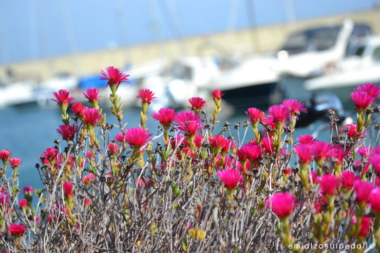 Giro d'Italia 2015 | Big Start | Tappa 1