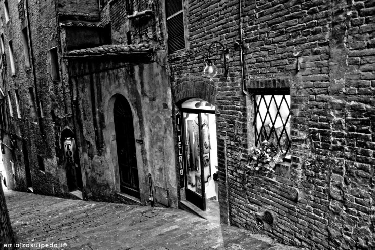 Inediti 2015 | CAP IV | Strade Bianche