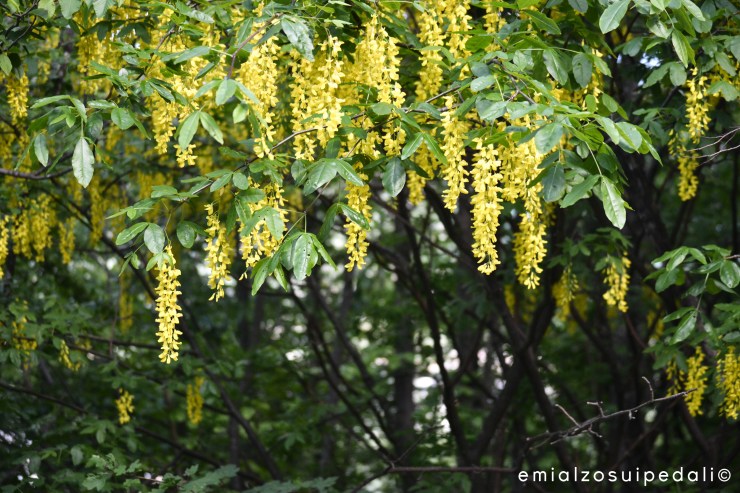 #GiornidiGiro | Fai della Paganella