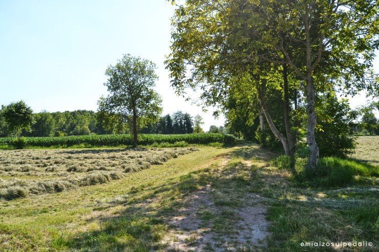 Campionato Italiano Crono 2016