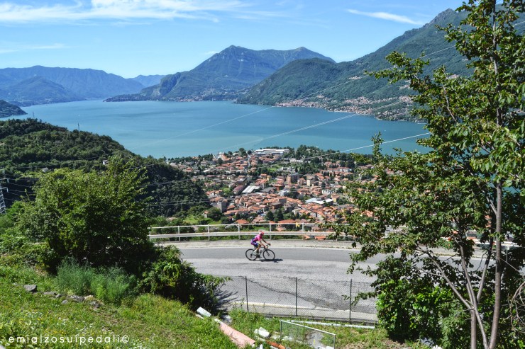 Special Interview | Simone Petilli