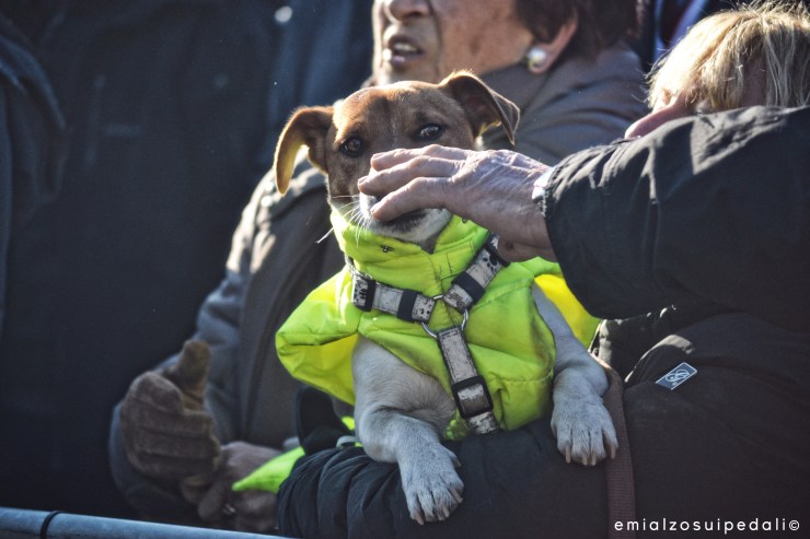 #CXstories | Silvelle