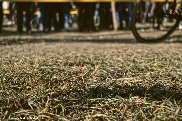 #CXstories | Silvelle