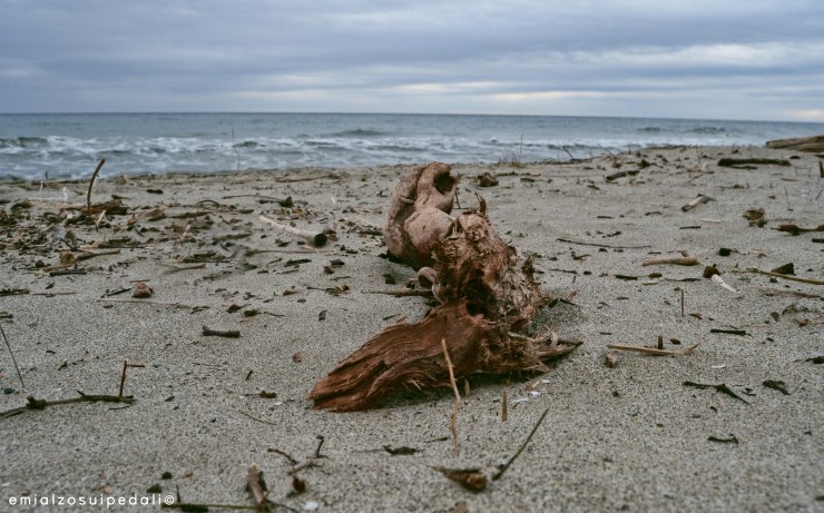 Trofeo Laigueglia 2017