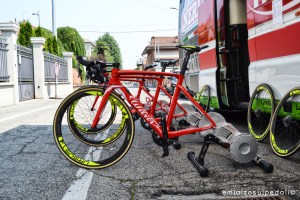 wilier