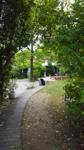 b&b papaveri e papere ravenna