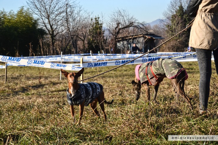 foto ciclocross della vigilia lurago