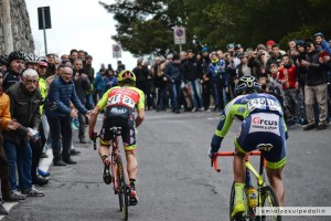 trofeo laigueglia zardini pasqualon