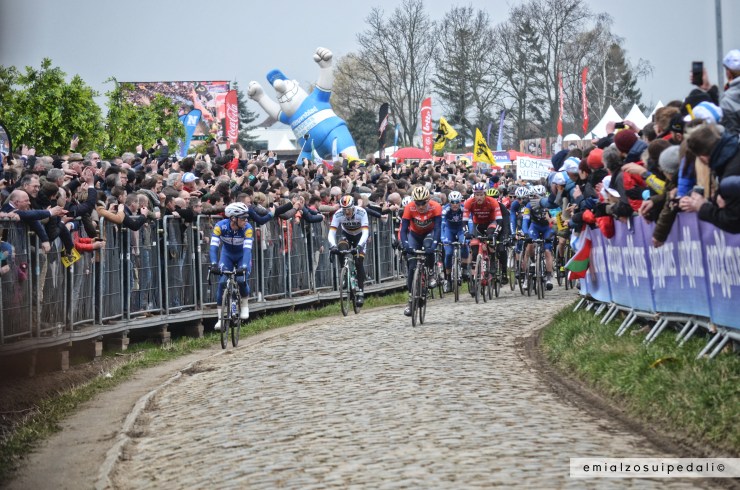 oude kwaremont fiandre 