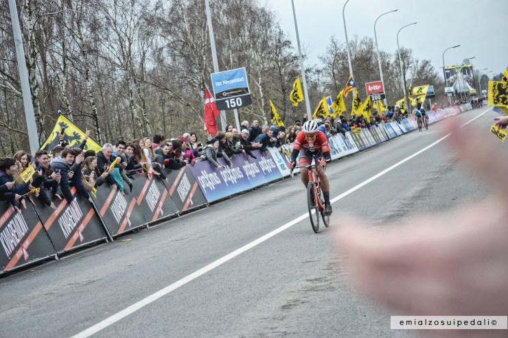 fiandre pedersen arrivo