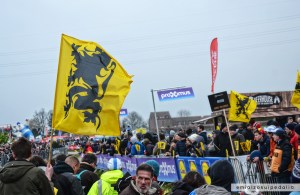 kwaremont leone delle fiandre