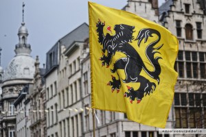 leone delle fiandre anversa