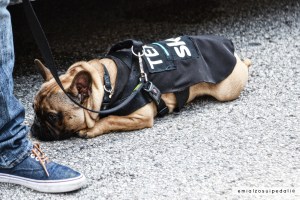 team sky giro d'italia 2018