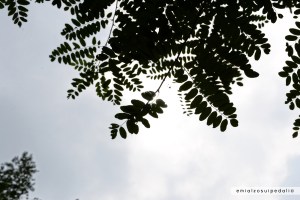 coppa bernocchi valle olona